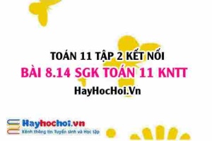 Bài 8.14 SGK Toán 11 Tập 2 Kết nối tri thức
